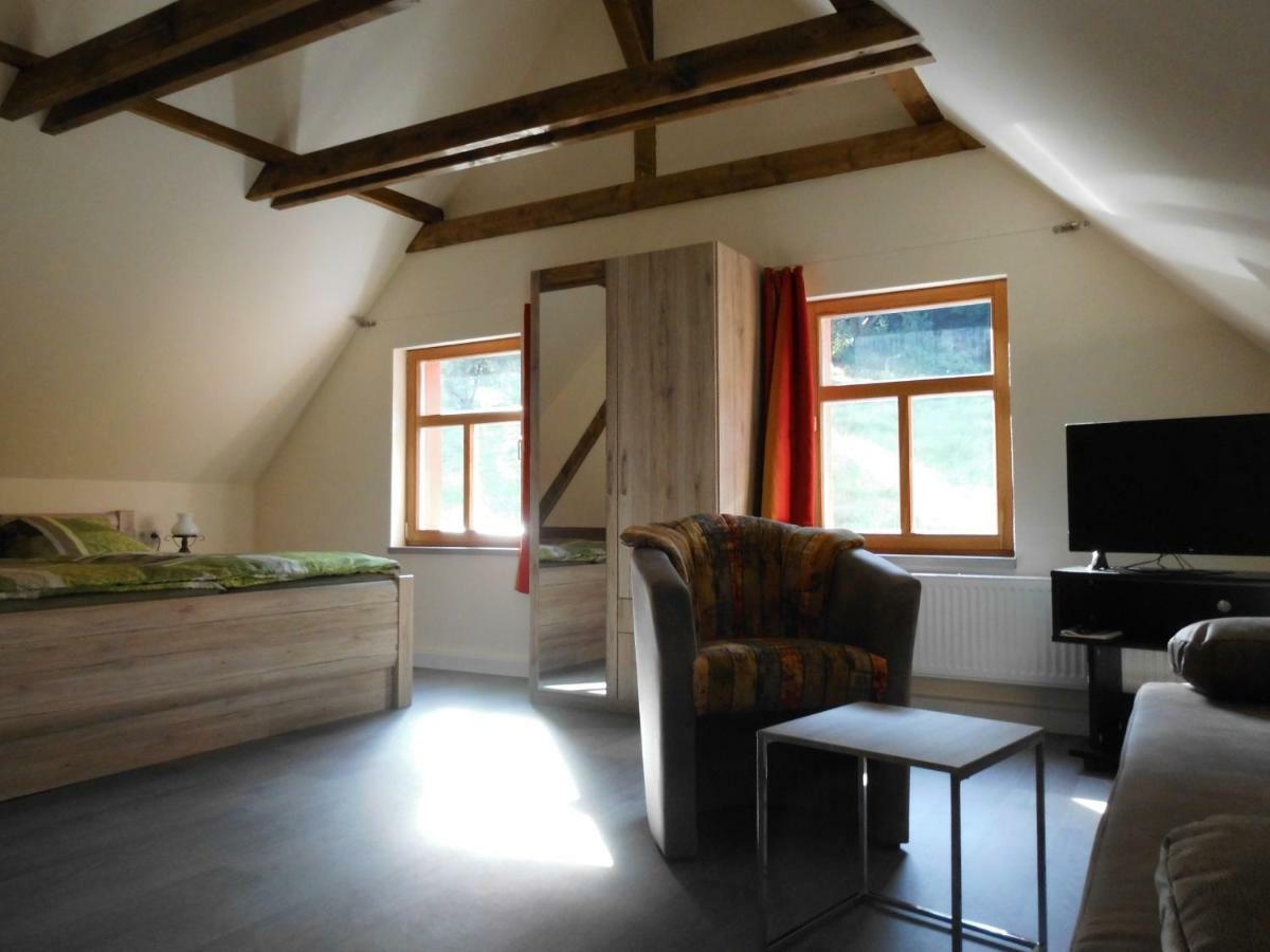 Die Oberlochmuehle Pension Deutschneudorf Esterno foto